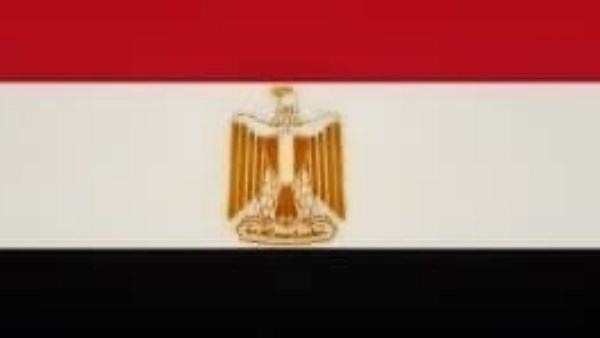 دبلوماسيون سابقون  : شفافية التعامل مع حادث دمياط تعزز الثقة بمؤسسات الدولة وتؤكد التكاتف الوطني لحماية الأمن القومي
