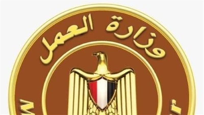 “العمل” تحذر من صفحات وحسابات وهمية تروج لمعلومات مغلوطة بشأن منحة العمالة غير المنتظمة