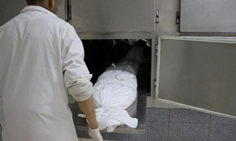بسبب شجرة مانجو.. مصرع مزارع بضربات آلة حادة فوق رأسه بقنا