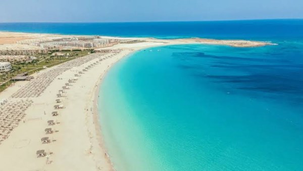 من 8 إلى 850 جنيهًا| مفاجأة صادمة في أسعار الشيشة بين المقاهي الشعبية ولاونجات الساحل الشمالي