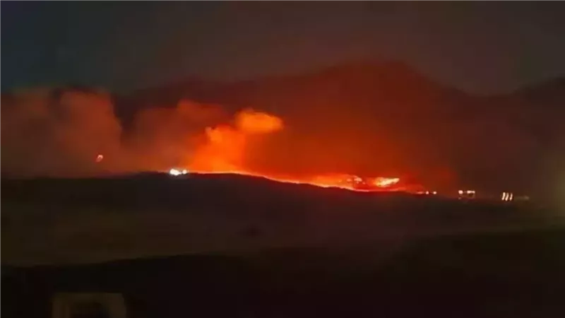 السيطرة على حريق في أشجار قرب مجمع محاكم أسيوط