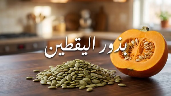 بذور اليقطين.. متى يكون أفضل وقت لتناولها وما الكمية المناسبة؟