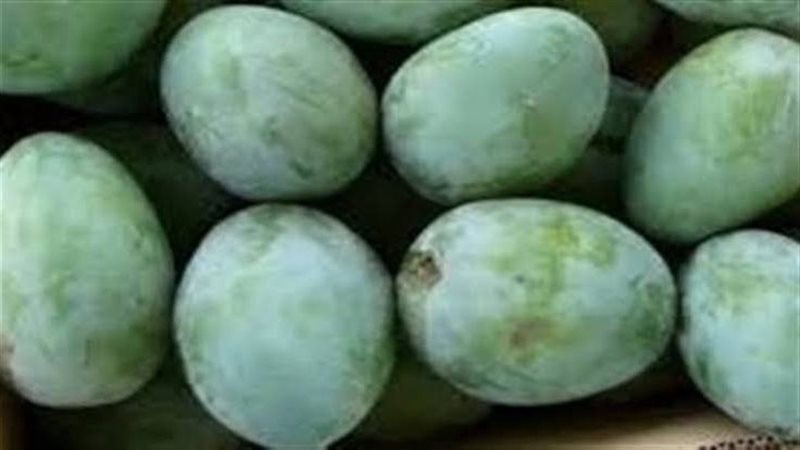 تفسير رؤية المانجو الخضراء في المنام وعلاقتها بتحسن الأوضاع المالية