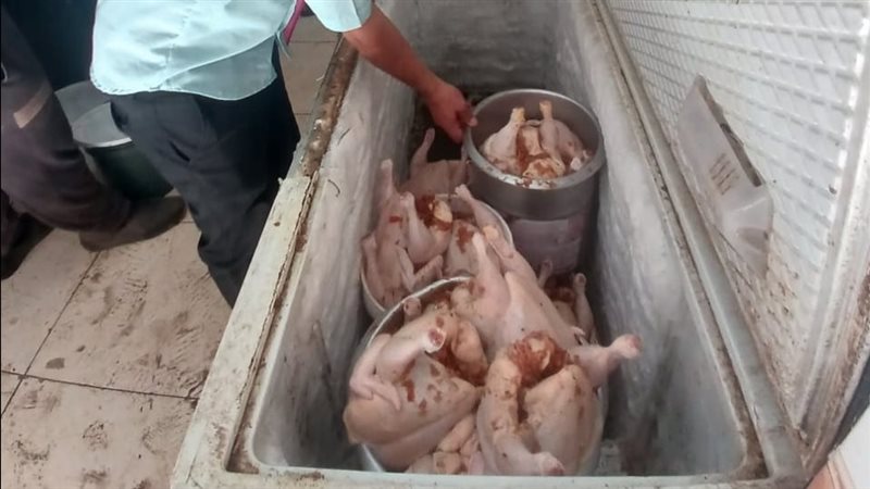 ضبط نصف طن لحوم فاسدة في حملات تموينية بالغربية