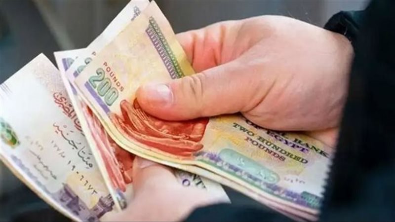 14 ألف جنيه شهريًا.. الدسوقي رشدي يضع تقديرا للحد الأدنى لمعيشة أسرة مصرية من 4 أفراد