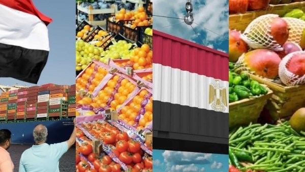 احتياطي السلع الأساسية آمن لأكثر من 7 أشهر.. الزراعة تزف بشرى سارة