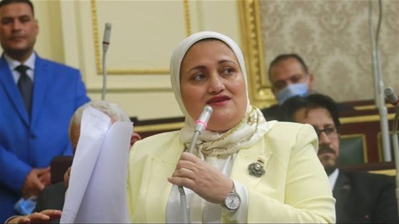 طلب إحاطة بشأن العشوائية في تقدير ودائع وفروق الصيانة بالمدن الجديدة