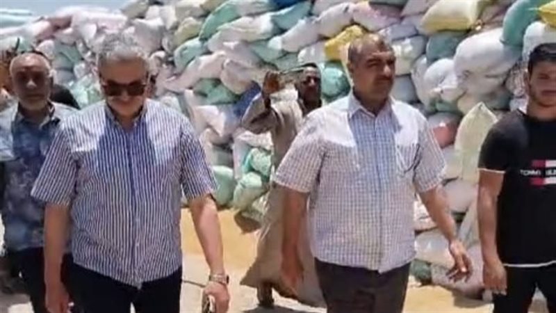 تموين الشرقية: توريد 430 طنا و672 ألفا من القمح المحلي حتى الآن