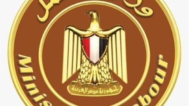 منح ورعاية وتدريب، تفاصيل إنفاق وزارة العمل على الحماية الاجتماعية