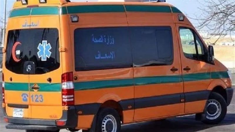 مصرع شابين في حادث دهس بطريق الإسكندرية – مطروح أمام مستشفى العلمين