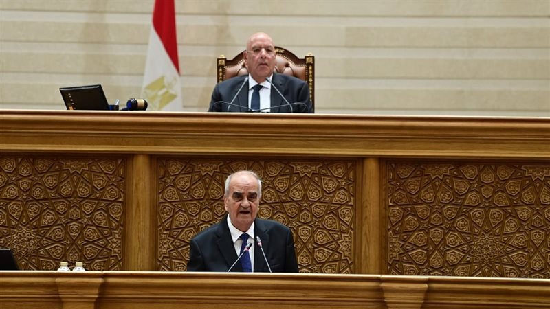 النواب يوافق على حذف الحد الأقصى لنسب فوائض “مستقبل مصر” المحولة إلى خزانة الدولة