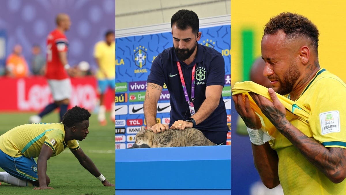 أطلقوا عليها “هيكسا” فجاءت النكسة.. لعنة القطة تطارد منتخب البرازيل