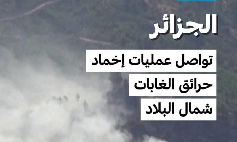 الجزائر: تواصل عمليات إخماد حرائق الغابات