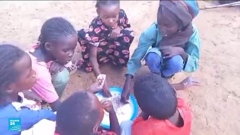 السودان: اتهامات للدعم السريع بارتكاب جرائم ضد الإنسانية وتحذيرات من الأسوأ