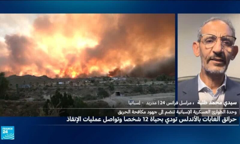 مقتل 11 شخصا على الأقل في حرائق غابات بإقليم الأندلس في جنوب إسبانيا