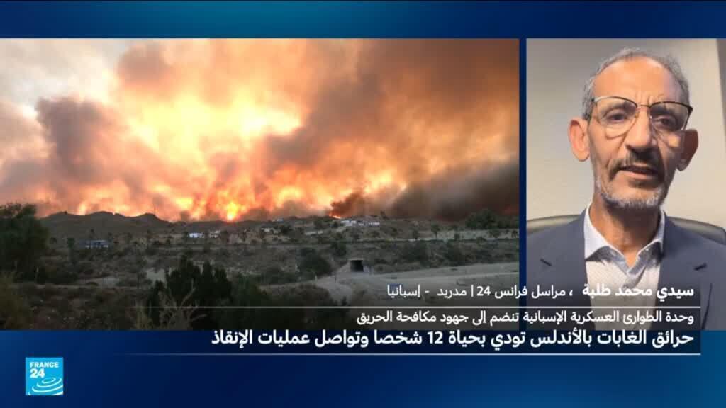 مقتل 11 شخصا على الأقل في حرائق غابات بإقليم الأندلس في جنوب إسبانيا
