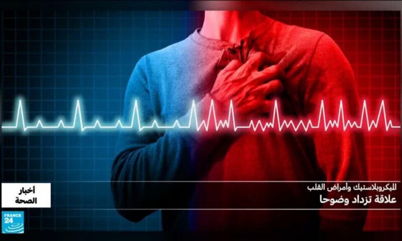 دراسة.. كيف يصل التلوث البلاستيكي إلى شراييننا؟