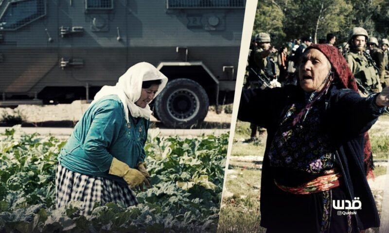 خاصl نساء عطارة يفقدن مواسم الأعشاب البرية تحت وطأة الاستيطان: رزقٌ حاصرته المخاوف