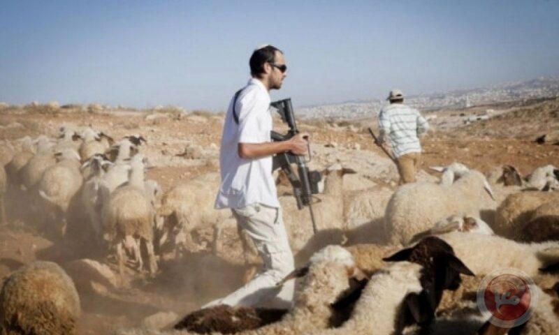 الضم يتسارع.. تصعيد غير مسبوق في المشاريع الاستيطانية بالضفة في 2025