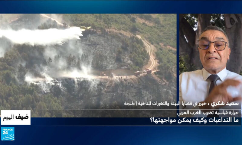 حرارة قياسية تضرب المغرب العربي: ما التداعيات وكيف يمكن مواجهتها؟