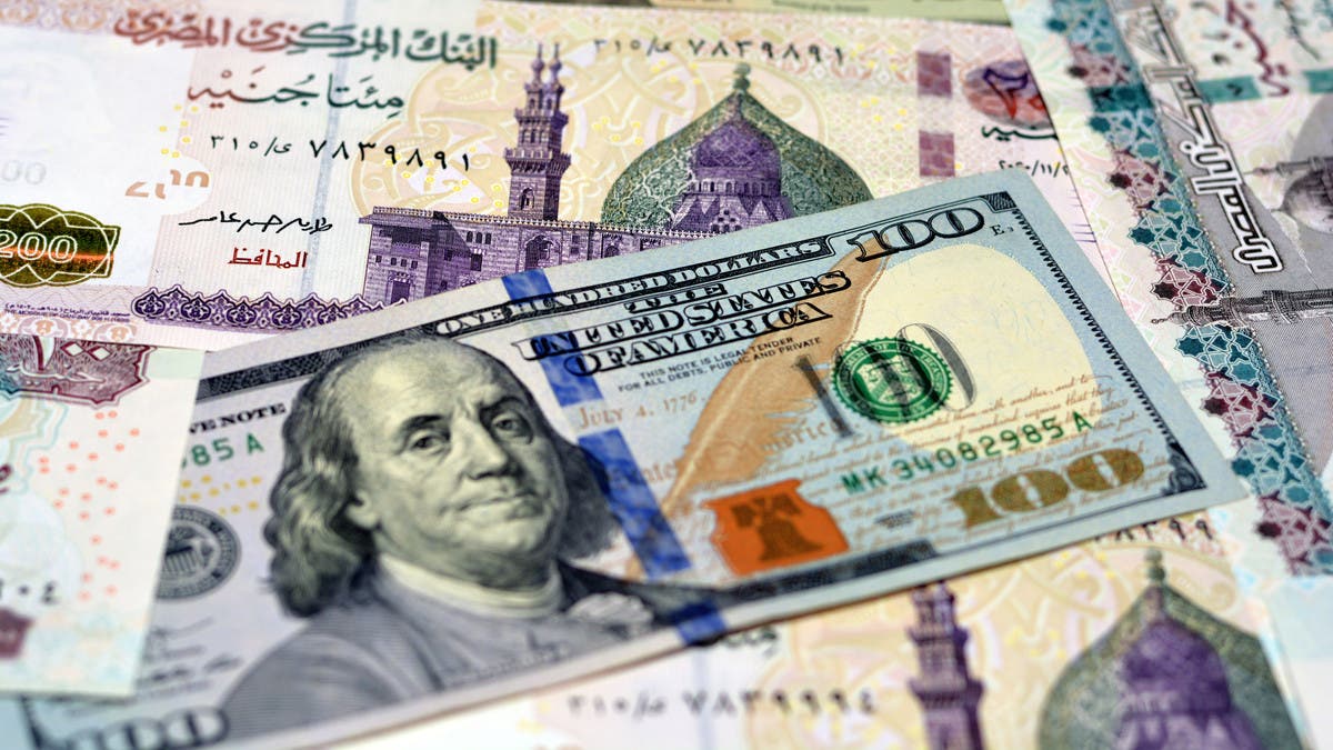 من 55 إلى 49.. هل انتصر الجنيه المصري في معركة الدولار؟