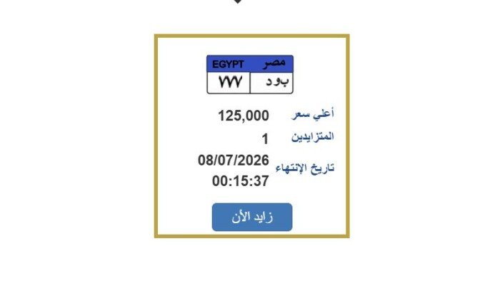 «مرور مصر» تطرح التزايد على لوحة سيارة مميزة.. اعرف الخطوات