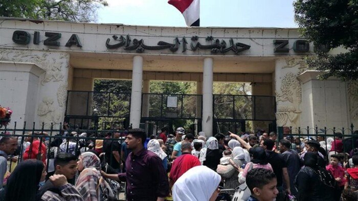موعد فتح حديقة الحيوان بالجيزة.. تفاصيل الاستعدادات للعودة بعد التطوير