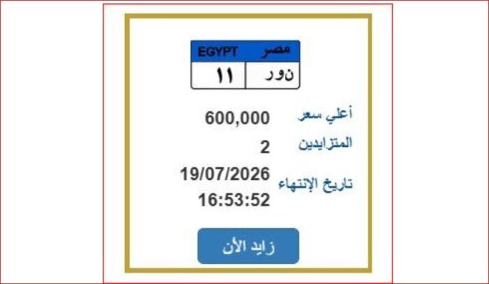 سعرها 600 ألف جنيه.. مزايدة نارية على لوحة سيارة مميزة | اعرف الخطوات