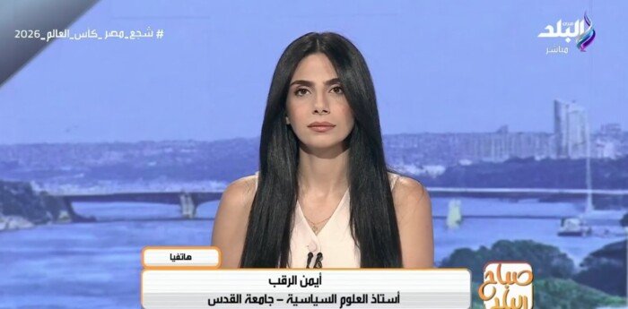 باحث: نتنياهو يستخدم نزع السلاح كذريعة لتعقيد التوصل إلى تسوية في غزة (فيديو)