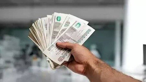 شهادة استثمار 2026.. تفاصيل أعلى العوائد وشروط شراء الشهادات البنكية