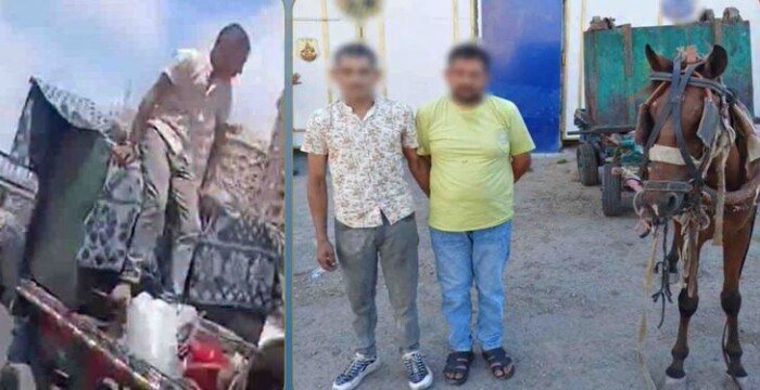 الميديا كشفتهما.. القبض على لصوص صندوق قمامة خاص بشركة نظافة بالإسكندرية