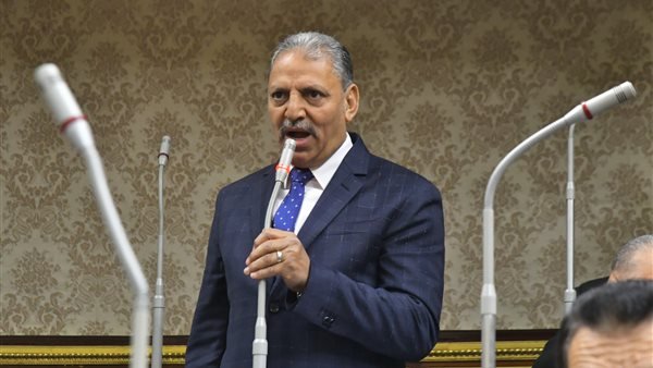 وكيل «دفاع النواب»: قانون جهاز مستقبل مصر يستهدف الحفاظ على حقوق الأجيال القادمة