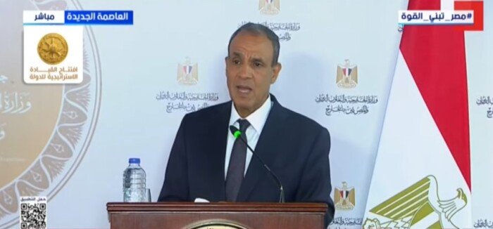 وزير الخارجية: شباب البرلمان المصري مستعدون لتعزيز التعاون مع نظرائهم الأوروبيين
