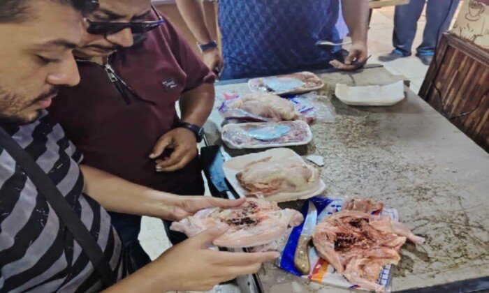 ضبط دجاج وكبدة فاسدة في حملة تموينية ببورسعيد