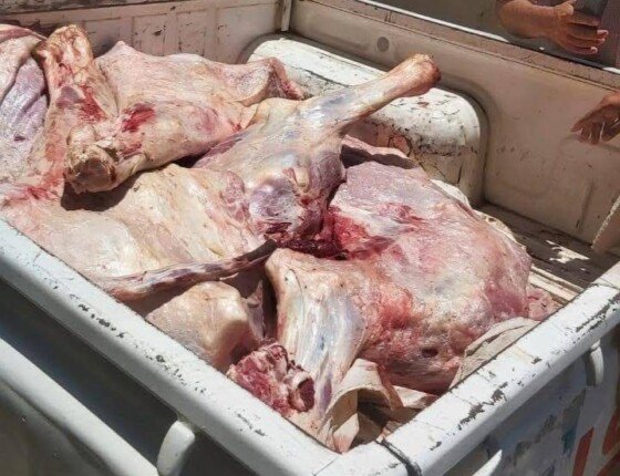 إغلاق مخبز مخالف وضبط لحوم غير صالحة للاستهلاك الآدمي بالمنيا