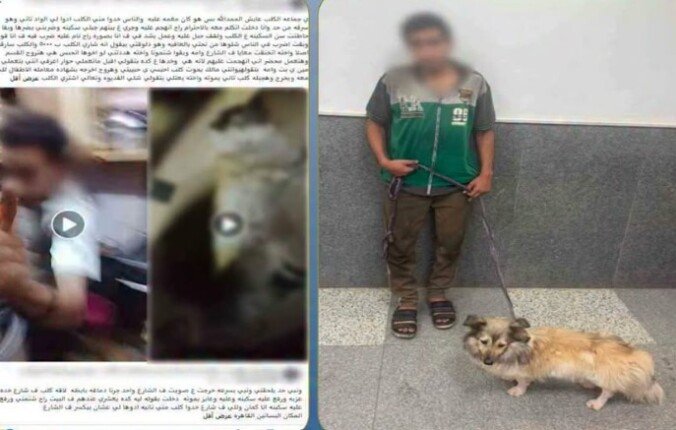 حقيقة فيديو تعذيب كلب في البساتين.. الداخلية تكشف التفاصيل