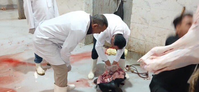 ضبط 2 طن لحوم ودواجن غير صالحة خلال حملات مكثفة بأسيوط