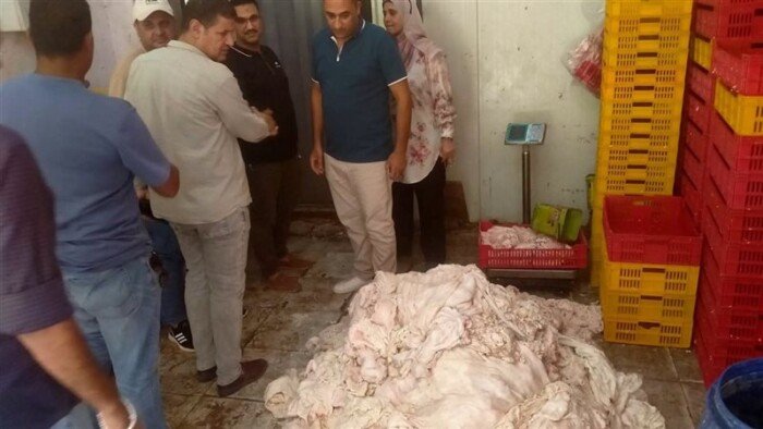 غلق وتشميع ثلاجة لحوم غير مرخصة.. وضبط 2 طن دهون فاسدة بالمنوفية