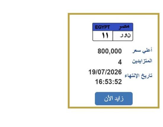 رقمها «نور 11».. التزايد يشتعل على لوحة سيارة مميزة| اعرف الخطوات