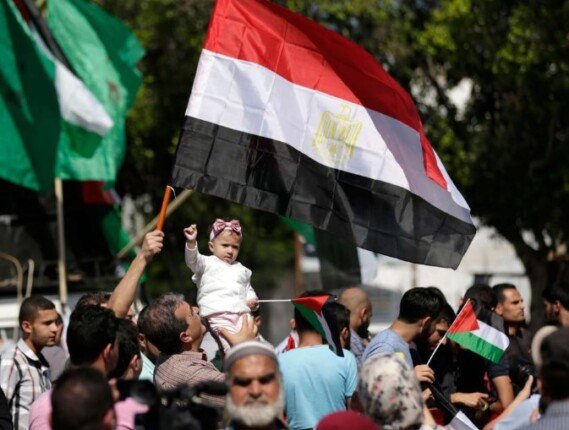 باحث في العلاقات الدولية: الدور المصري يمثل الركيزة الأساسية والداعمة للشعب الفلسطيني