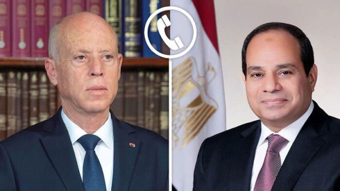 الرئيس السيسي يؤكد لنظيره التونسي استعداد مصر لدعم جهود مكافحة الحرائق