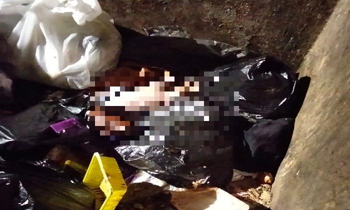 العثور على رضيع متوفى داخل صندوق قمامة بمدينة العاشر من رمضان