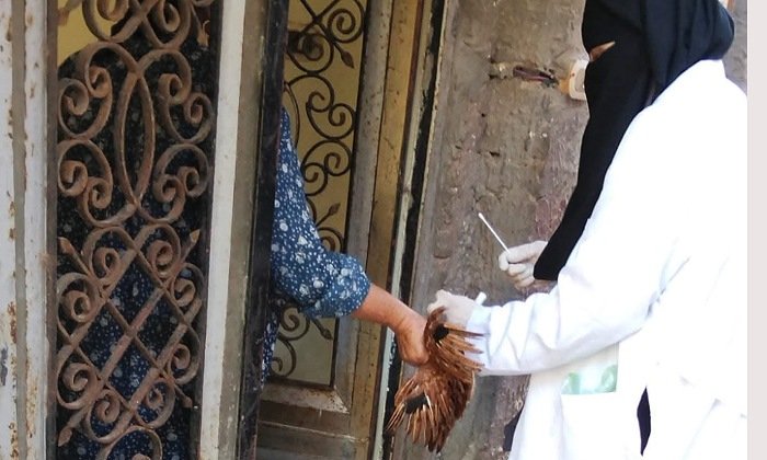 محافظ كفرالشيخ يتابع تحصين أكثر من 153 ألف طائر ضد الأمراض الوبائية