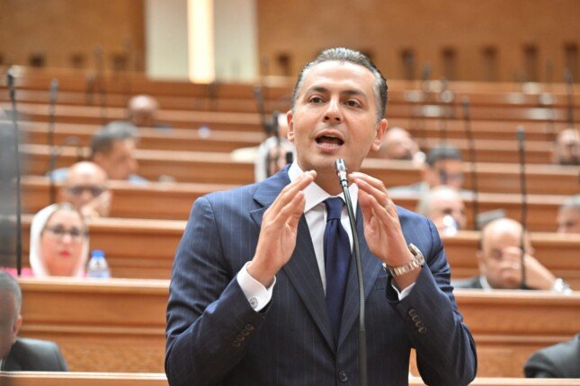 نائب: قانون جهاز مستقبل مصر يحقق التوازن بين سرعة الإنجاز والضوابط الحاكمة