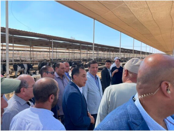 رئيس الوزراء يتفقد مزرعة للإنتاج الزراعي والحيواني بالعلمين الجديدة