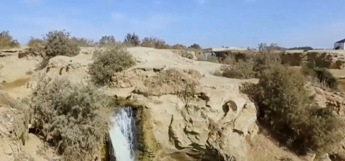أولوية لقبة الحسنة ووادي الحيتان.. أبرز ملامح خطة تطوير المحميات الطبيعية