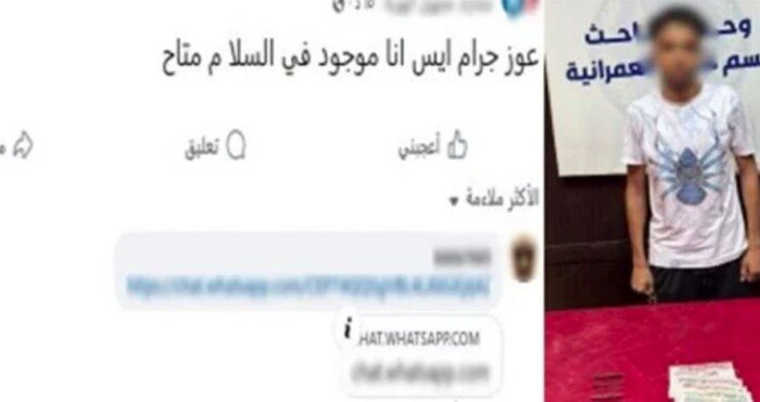 القبض على المتهم بترويج المخدرات «أون لاين» في الجيزة