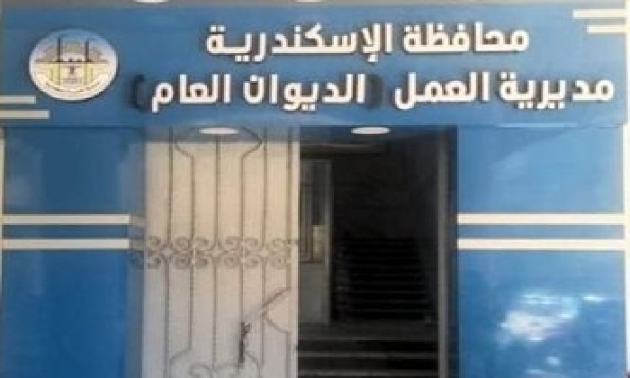 مديرية العمل بالإسكندرية: 4210 فرص عمل جديدة بمشروع الضبعة النووية