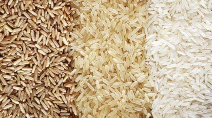 سعر طن الأرز الشعير اليوم الثلاثاء 21 يوليو 2026.. الحبة العريضة والرفيعة بكام؟