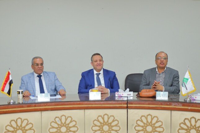 لجنة الجبانات بنقابة المهندسين تضع خطة لتوفير المقابر بالمحافظات
